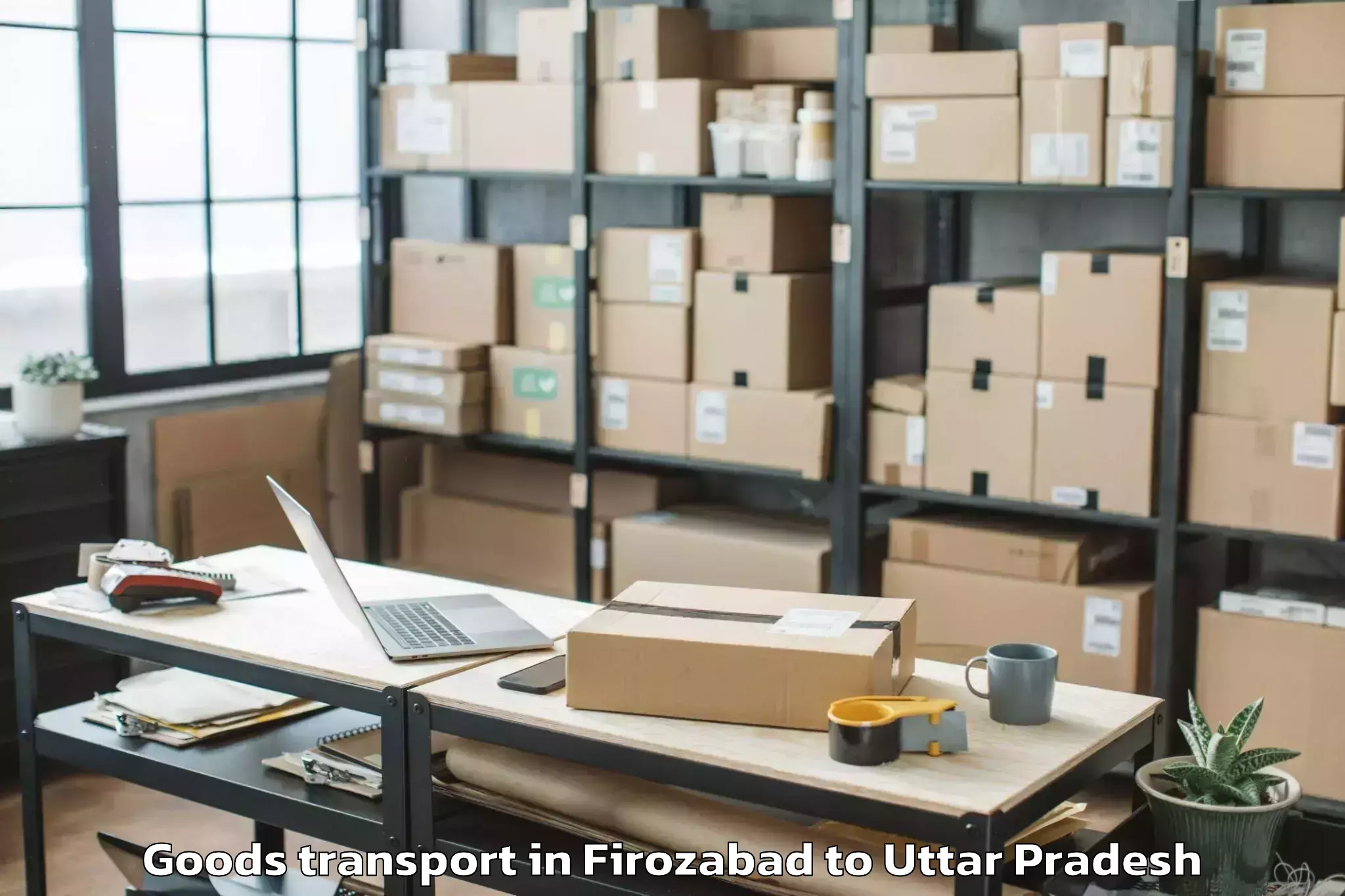 Trusted Firozabad to Bahjoi Goods Transport